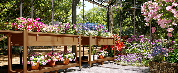 Raised Garden Beds