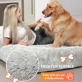 Adults and pets resting and playing together on the YEFU® Human Dog Bed – soft, cozy, and safe for family relaxation or bonding moments.